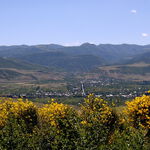 Die gleiche Landschaft mit einem bunten Busch im Vordergrund